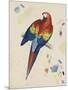 Sketchbook Macaw II-Edward Lear-Mounted Giclee Print