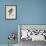 Sketchbook Macaw II-Edward Lear-Framed Giclee Print displayed on a wall