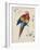 Sketchbook Macaw II-Edward Lear-Framed Giclee Print