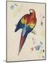 Sketchbook Macaw II-Edward Lear-Mounted Giclee Print
