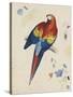 Sketchbook Macaw II-Edward Lear-Stretched Canvas