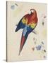 Sketchbook Macaw II-Edward Lear-Stretched Canvas