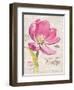 Sketchbook Tulip-Chad Barrett-Framed Art Print