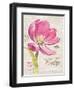 Sketchbook Tulip-Chad Barrett-Framed Art Print