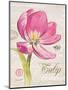 Sketchbook Tulip-Chad Barrett-Mounted Art Print