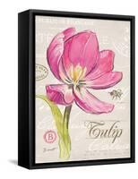 Sketchbook Tulip-Chad Barrett-Framed Stretched Canvas