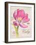 Sketchbook Tulip-Chad Barrett-Framed Art Print