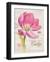 Sketchbook Tulip-Chad Barrett-Framed Art Print