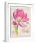 Sketchbook Tulip-Chad Barrett-Framed Art Print