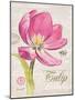 Sketchbook Tulip-Chad Barrett-Mounted Art Print