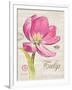 Sketchbook Tulip-Chad Barrett-Framed Art Print