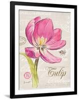 Sketchbook Tulip-Chad Barrett-Framed Art Print