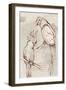 Sketched Birds-Eli Jones-Framed Art Print