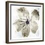 Sketched Cream Flower Mate-OnRei-Framed Premium Giclee Print