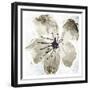 Sketched Cream Flower Mate-OnRei-Framed Premium Giclee Print