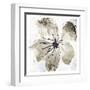 Sketched Cream Flower Mate-OnRei-Framed Art Print