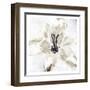 Sketched Cream Flower-OnRei-Framed Art Print