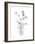 Sketched Floral - Flourish-Manny Woodard-Framed Giclee Print