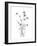 Sketched Floral - Flourish-Manny Woodard-Framed Giclee Print