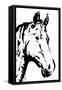 Sketched horse-OnRei-Framed Stretched Canvas