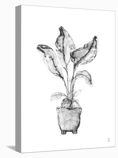 Sketched Houseplant - Shoot-Manny Woodard-Stretched Canvas