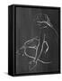 Sketched in Black II-Lanie Loreth-Framed Stretched Canvas