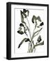 Sketched Moments - Bloom-Maja Gunnarsdottir-Framed Art Print