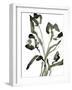 Sketched Moments - Bloom-Maja Gunnarsdottir-Framed Art Print