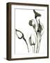 Sketched Moments - Flourish-Maja Gunnarsdottir-Framed Art Print