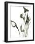 Sketched Moments - Flourish-Maja Gunnarsdottir-Framed Art Print