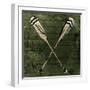 Sketched Oars-OnRei-Framed Art Print