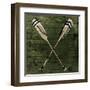 Sketched Oars-OnRei-Framed Art Print