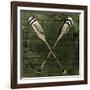 Sketched Oars-OnRei-Framed Art Print