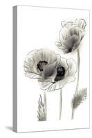 Sketched Poppies 2-Boho Hue Studio-Stretched Canvas