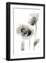 Sketched Poppies 2-Boho Hue Studio-Framed Art Print