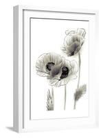 Sketched Poppies 2-Boho Hue Studio-Framed Art Print