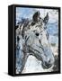 Sketched Rustic Horse-OnRei-Framed Stretched Canvas