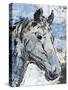 Sketched Rustic Horse-OnRei-Stretched Canvas