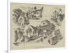 Sketches About Barnet-Herbert Railton-Framed Giclee Print