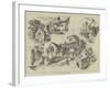 Sketches About Barnet-Herbert Railton-Framed Giclee Print