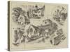 Sketches About Barnet-Herbert Railton-Stretched Canvas