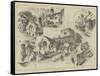 Sketches About Barnet-Herbert Railton-Framed Stretched Canvas