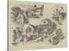 Sketches About Barnet-Herbert Railton-Stretched Canvas