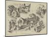 Sketches About Barnet-Herbert Railton-Mounted Giclee Print