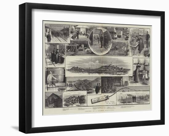 Sketches at a Dynamite Manufactory-null-Framed Giclee Print