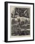 Sketches at a Temperance Music Hall-Godefroy Durand-Framed Giclee Print