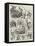 Sketches at a Village Flower-Show-William Henry Charles Groome-Framed Stretched Canvas