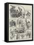 Sketches at a Village Flower-Show-William Henry Charles Groome-Framed Stretched Canvas