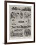 Sketches at Barnum's Show at Olympia-null-Framed Giclee Print