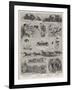 Sketches at Barnum's Show at Olympia-null-Framed Giclee Print